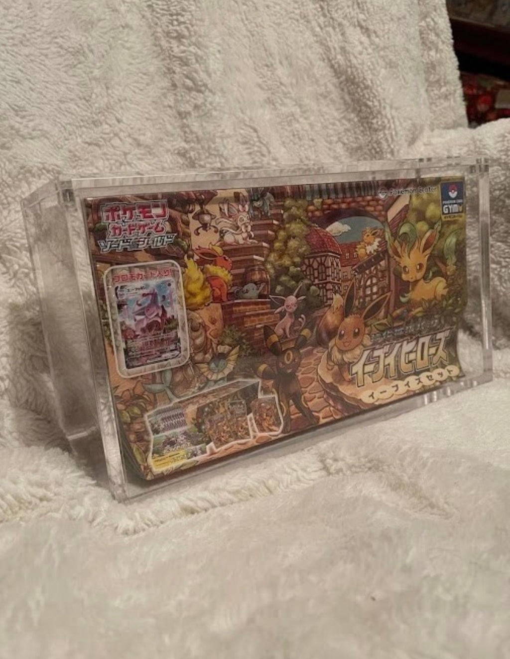 Pokémon Eevee Heroes Gym Box Acrylic Case Magnetic Lid