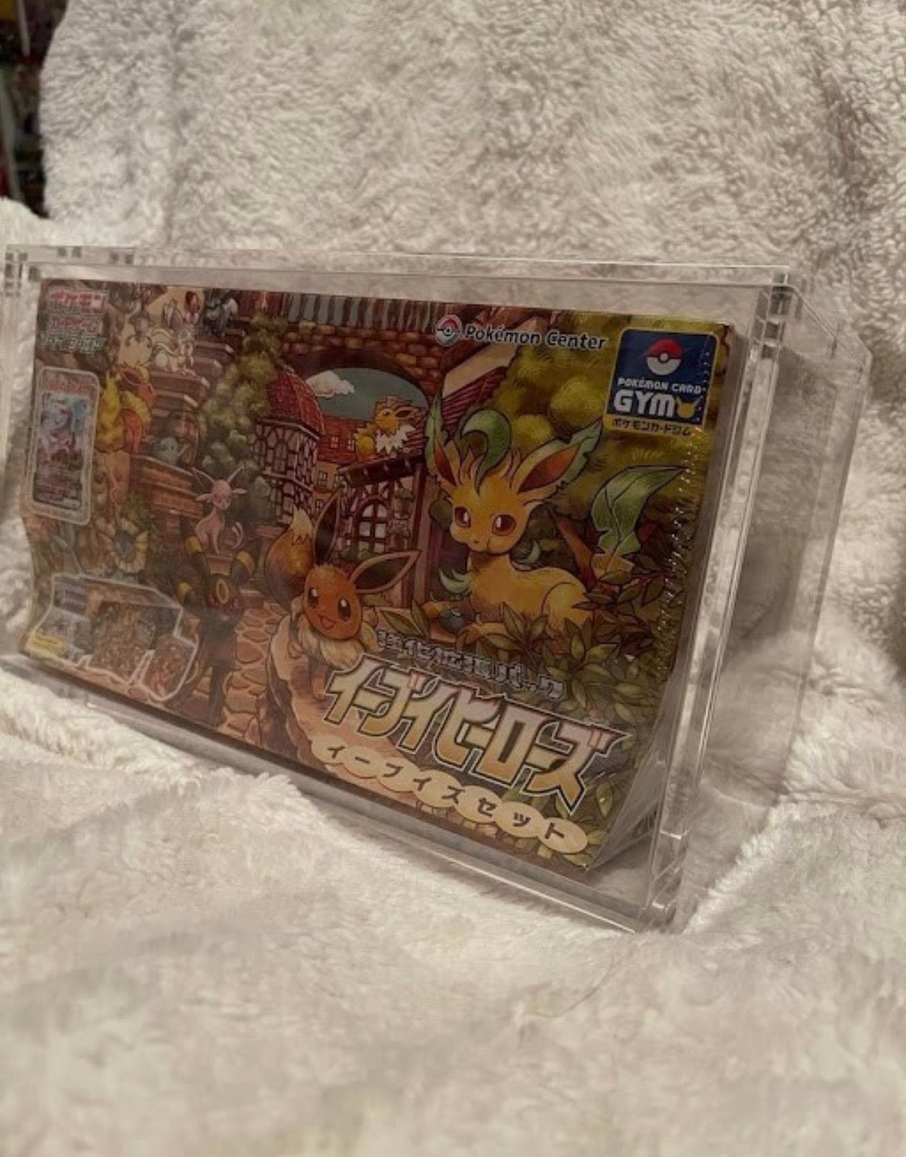 Pokémon Eevee Heroes Gym Box Acrylic Case Magnetic Lid